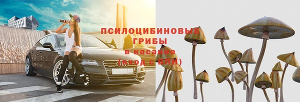 спиды Беломорск